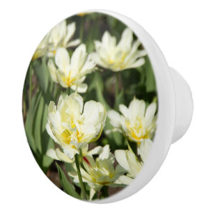 Weißes Tulpen-Foto Keramikknauf