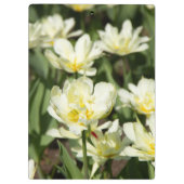 Weißes Tulpen-Foto Klemmbrett (Rückseite)