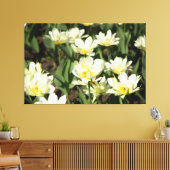 Weißes Tulpen-Foto Leinwanddruck (Insitu (Wohnzimmer))