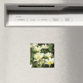 Weißes Tulpen-Foto Magnet (In Situ (Geschirrspüler))