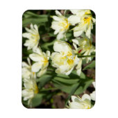 Weißes Tulpen-Foto Magnet (Vertikal)