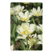 Weißes Tulpen-Foto Mini Klemmbrett (Rückseite)
