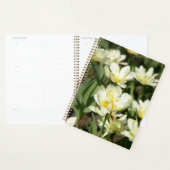 Weißes Tulpen-Foto Planer (Anzeige)