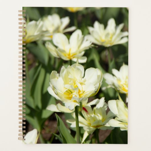 Weißes Tulpen-Foto Planer (Vorderseite)