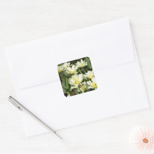 Weißes Tulpen-Foto Quadratischer Aufkleber
