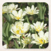 Weißes Tulpen-Foto Rechteckiger Pappuntersetzer (Vorderseite)