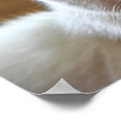 Weißes Türkisches Angora Katapult Poster (Ecke)