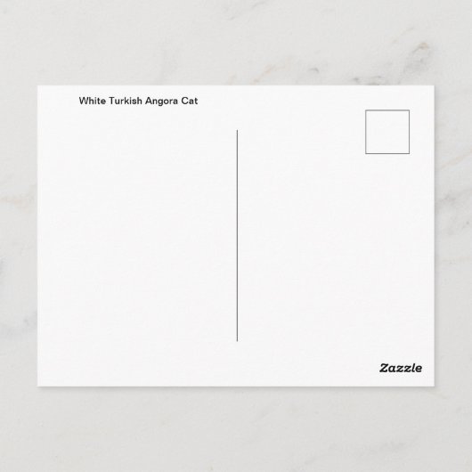 Weißes Türkisches Angora Katapult Postkarte (Rückseite)
