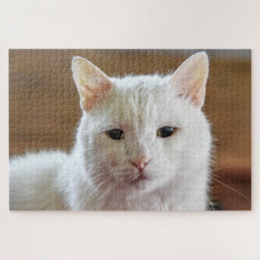 Weißes Türkisches Angora Katapult Puzzle (Horizontal)