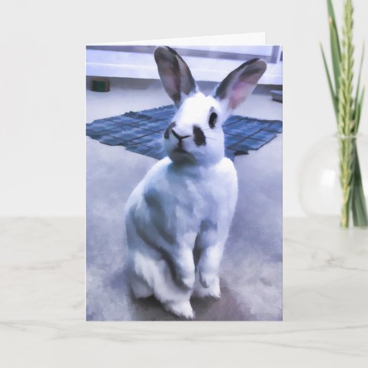 Weißes u. schwarzes Häschen Karte (Vorderseite)