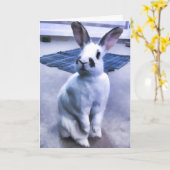 Weißes u. schwarzes Häschen Karte (Gelbe Blume)