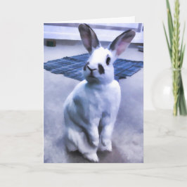 Weißes u. schwarzes Häschen Karte