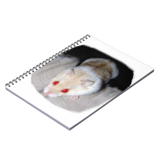 Weißes und blondes Albinohamsterbild Notizblock (Linke Seite)