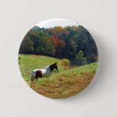 Weißes und braunes Pferd, Herbstteich Button (Vorderseite)