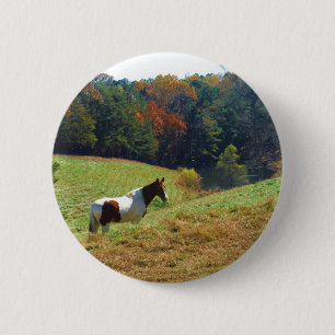 Weißes und braunes Pferd, Herbstteich Button