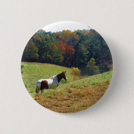 Weißes und braunes Pferd, Herbstteich Button (Vorderseite)