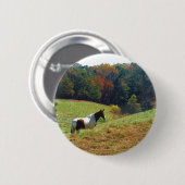Weißes und braunes Pferd, Herbstteich Button (Vorne & Hinten)