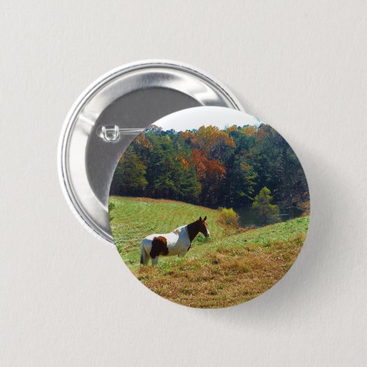 Weißes und braunes Pferd, Herbstteich Button (Vorne & Hinten)