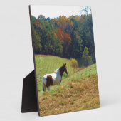 Weißes und braunes Pferd, Herbstteich Fotoplatte (Seite)