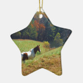 Weißes und braunes Pferd, Herbstteich Keramik Ornament (Links)