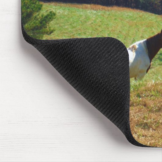 Weißes und braunes Pferd, Herbstteich Mousepad (Ecke)