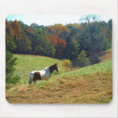 Weißes und braunes Pferd, Herbstteich Mousepad (Vorne)