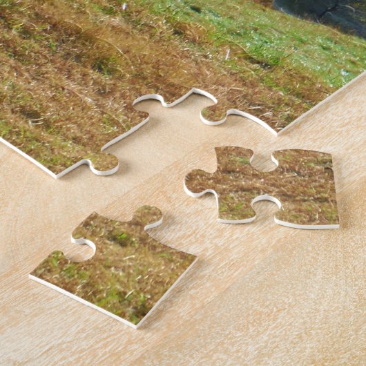 Weißes und braunes Pferd, Herbstteich Puzzle (Seite)