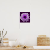 Weißes und Lila Marigold-Poster Poster (Küche)