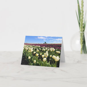 Weißes und Lila Tulip-Feld mit Heißluftballon Dankeskarte
