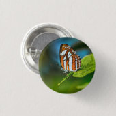 Weißes und orangefarbenes Schmetterling Button (Vorne & Hinten)