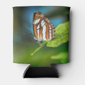 Weißes und orangefarbenes Schmetterling Dosenkühler (Vorderseite)
