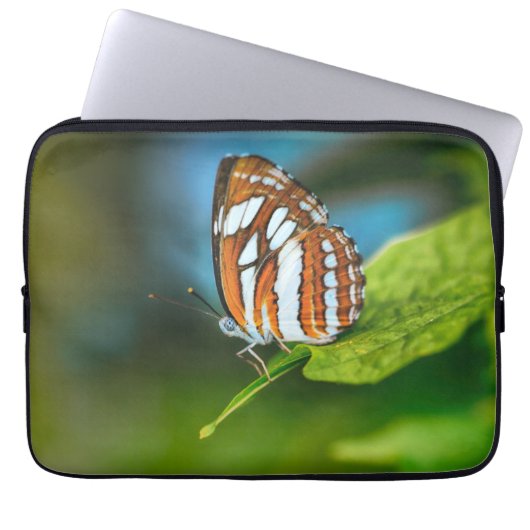 Weißes und orangefarbenes Schmetterling Laptopschutzhülle (Vorderseite)