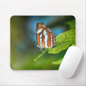Weißes und orangefarbenes Schmetterling Mousepad (Mit Mouse)