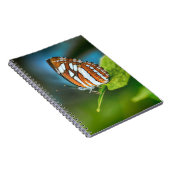 Weißes und orangefarbenes Schmetterling Notizblock (Rechte Seite)