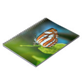 Weißes und orangefarbenes Schmetterling Notizblock (Linke Seite)