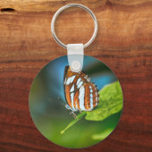 Weißes und orangefarbenes Schmetterling Schlüsselanhänger (Vorderseite)