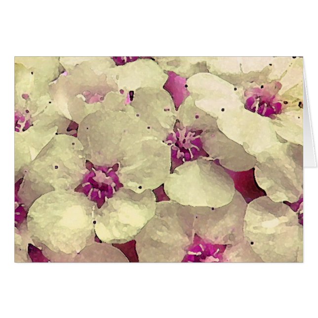 Weißes und rosa Blumen (Vorderseite (Horizontal))