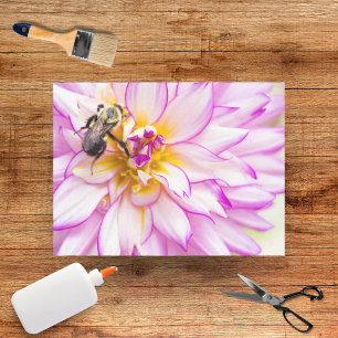 Weißes und rosa Dahlia mit Hummelpapier Seidenpapier