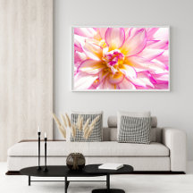 Weißes und rosa Dahlia-Poster