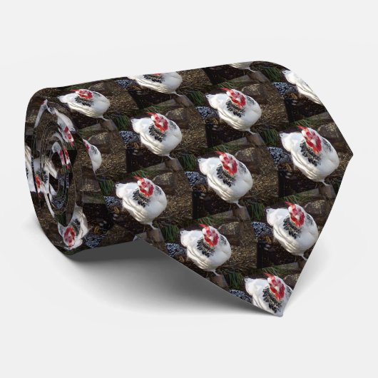 weißes und schwarzes Hühnchen, gesprenkelt Krawatte (Gerollt)