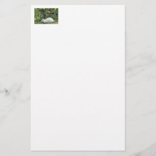 Weißes und schwarzes Kaninchen Briefpapier
