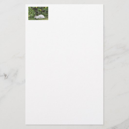 Weißes und schwarzes Kaninchen Briefpapier (Vorderseite)