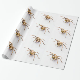 WEIßES VERPACKUNGSPAPIER MIT REIHEN VON SPINNEN. GESCHENKPAPIER