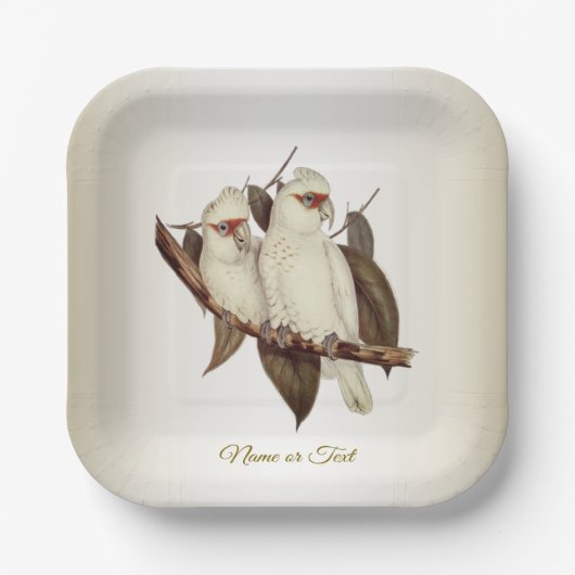 Weißes Vogelpapier Pappteller (Vorderseite)