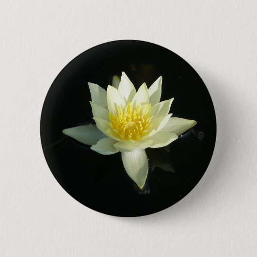 Weißes Wasser-Lilie/Lotus Button (Vorderseite)
