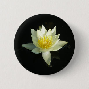 Weißes Wasser-Lilie/Lotus Button