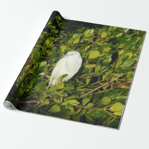 Weißes Wasser-Vogel Floridas im Sumpf an Lido Geschenkpapier