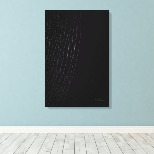 Weißes Web mit schwarzer Leinwand (Insitu (Holzboden))