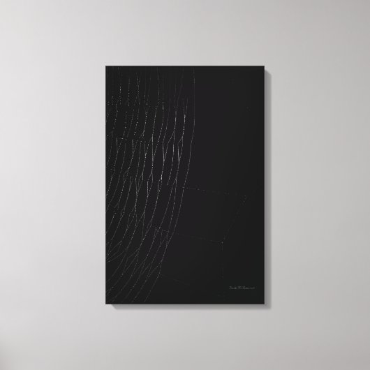 Weißes Web mit schwarzer Leinwand (Vorderseite)