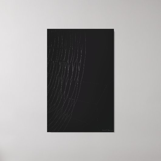 Weißes Web mit schwarzer Leinwand (Vorderseite)